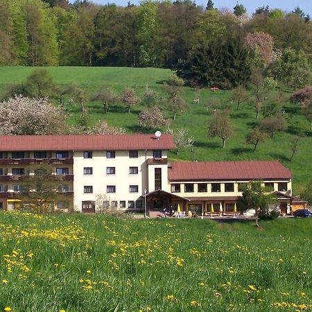 Dornroeschen Hotel Höchst im Odenwald Buitenkant foto