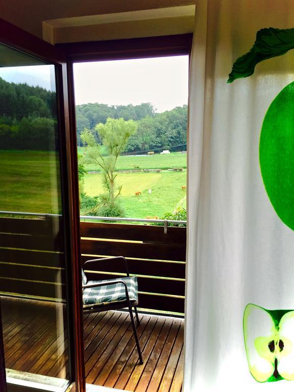 Dornroeschen Hotel Höchst im Odenwald Kamer foto