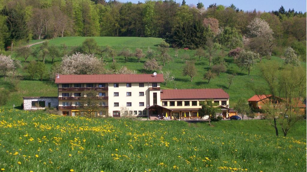 Dornroeschen Hotel Höchst im Odenwald Buitenkant foto